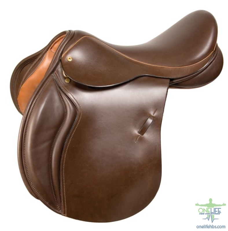 Upper Centrals and Canines
